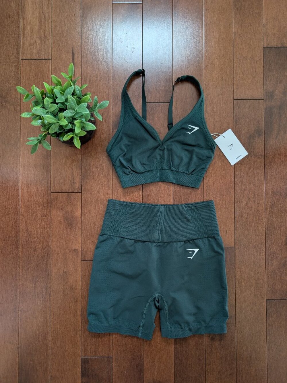 GYMSHARK VITAL SEAMLESS SPORT BRA + SHORTS SET